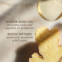 Moroccanoil Oily Scalp Treatment (45ml)