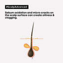 Buy L'Oreal Professionnel Scalp Advanced Anti Oiliness in Deep Purifier Clay For Oily Scalp (250ml) Online in India