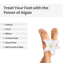Shop O3+ Pedilogix PRO Alage Pedicure & Manicure Kit (Single Use) Online in India Chennai Tamil Nadu / Review