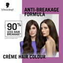 Schwarzkopf Colour Specialist At Home Permanent Hair Colour