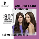 Schwarzkopf Colour Specialist At Home Permanent Hair Colour