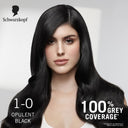 Schwarzkopf Colour Specialist At Home Permanent Hair Colour