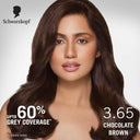 Schwarzkopf Simply Color Permanent Hair Colour